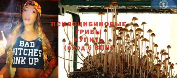 каннабис Гусев