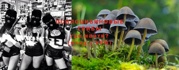 гашишное масло Гусь-Хрустальный